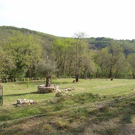 Les Eyzies Studio Aux Eyzies Au Coeur De La Vallee De L'Homme מראה חיצוני תמונה