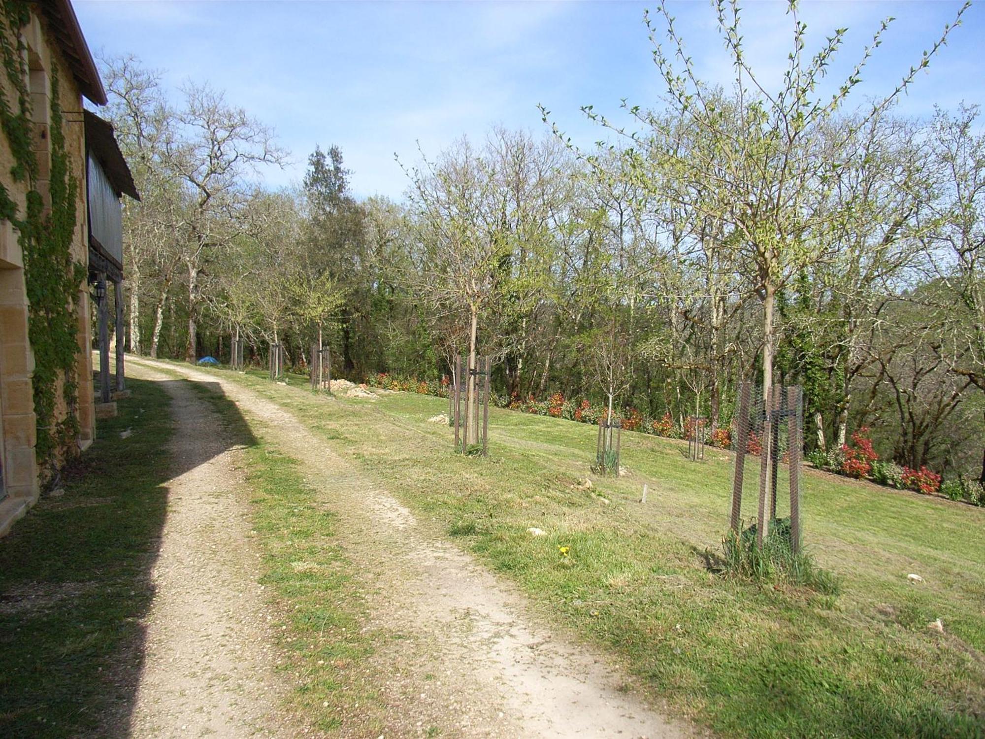 Les Eyzies Studio Aux Eyzies Au Coeur De La Vallee De L'Homme מראה חיצוני תמונה