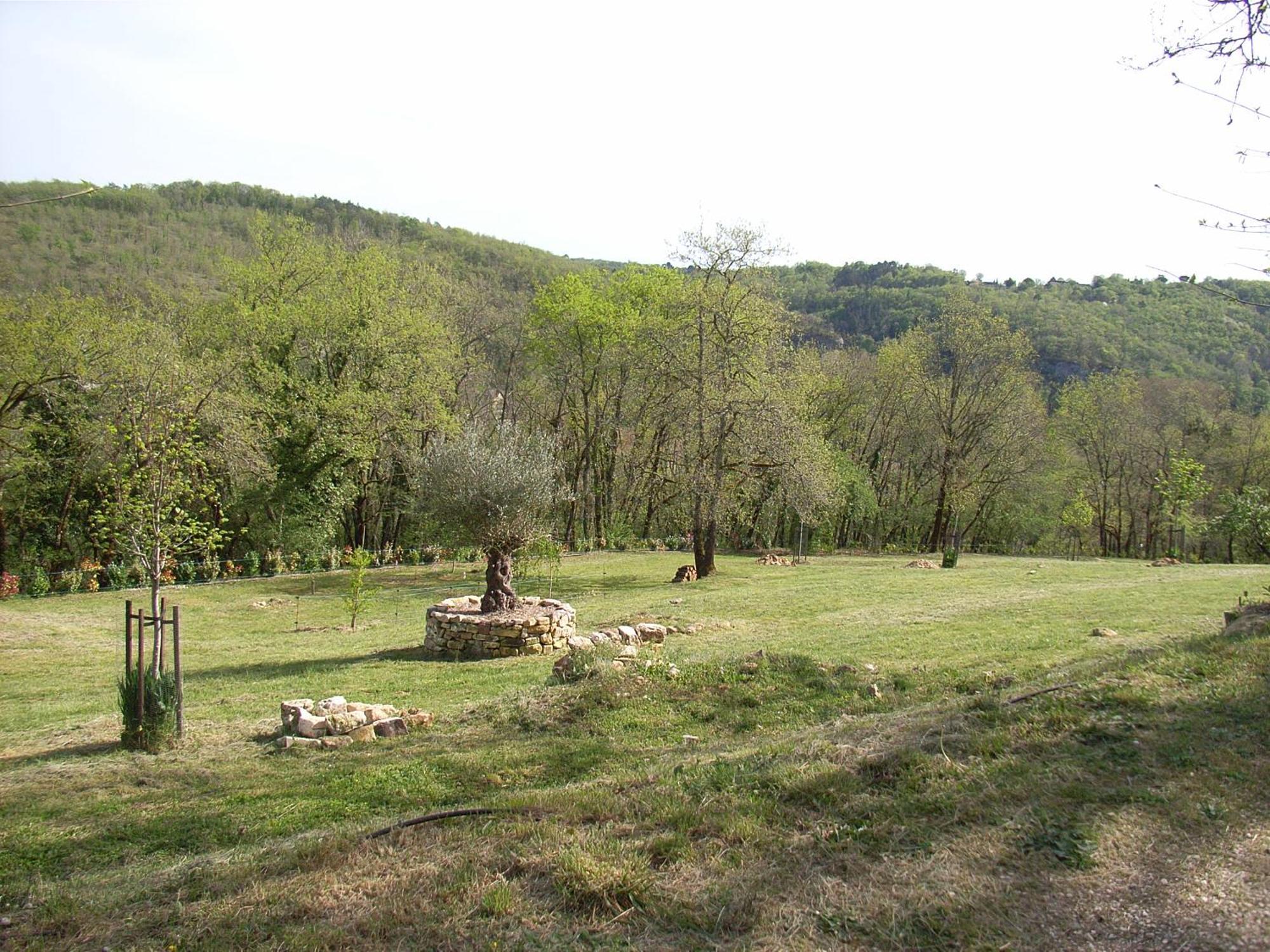 Les Eyzies Studio Aux Eyzies Au Coeur De La Vallee De L'Homme מראה חיצוני תמונה
