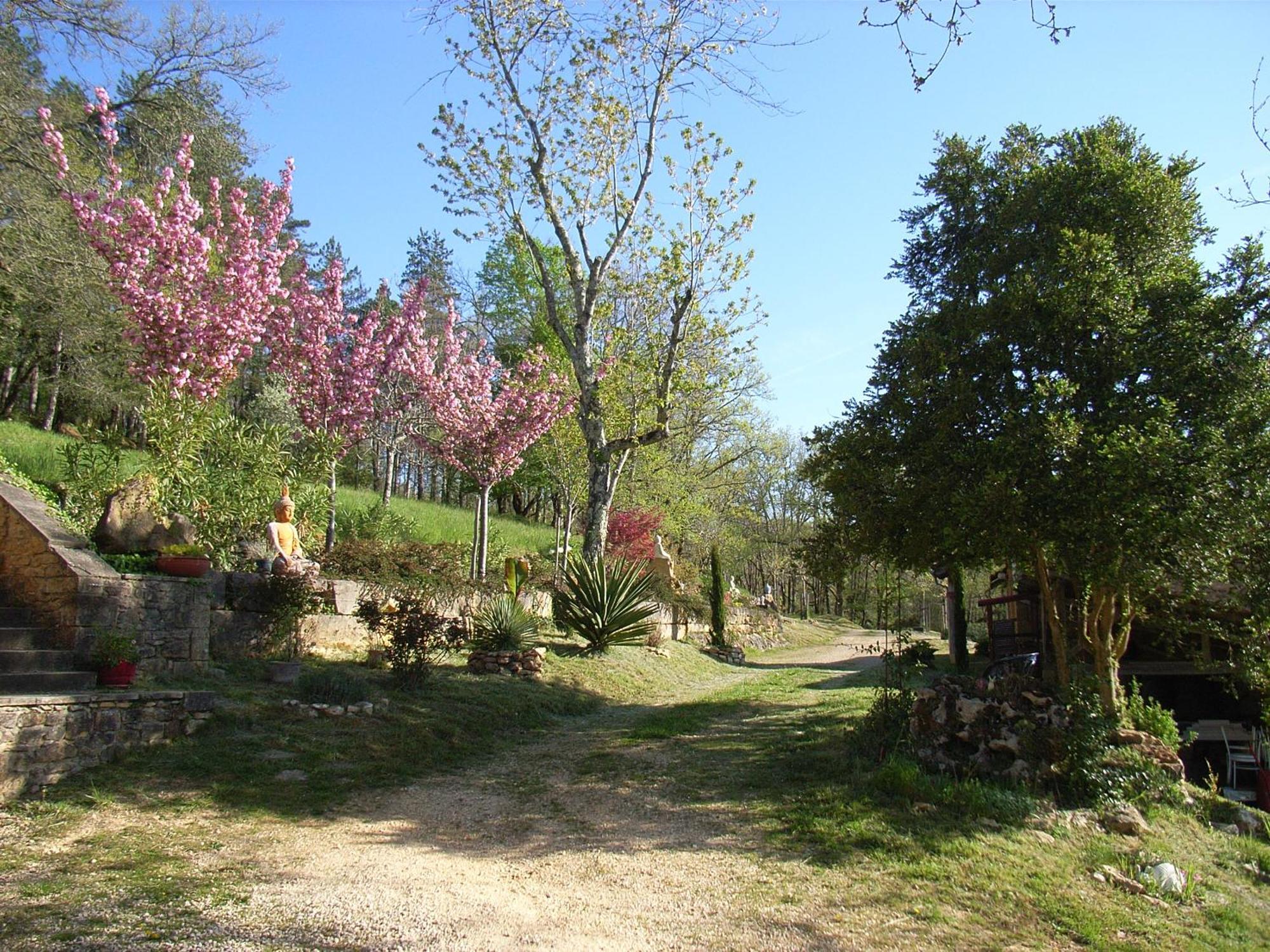 Les Eyzies Studio Aux Eyzies Au Coeur De La Vallee De L'Homme מראה חיצוני תמונה